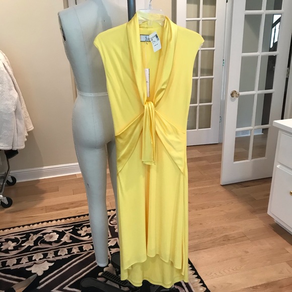 NWT Yyigal daffodil dress - Picture 4 of 7